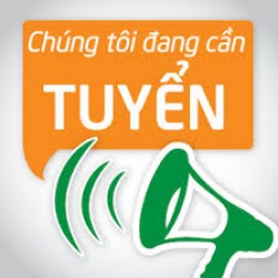 Tuyển nhân viên SEO