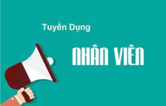 Tuyển Dụng Kế Toán Nội Bộ